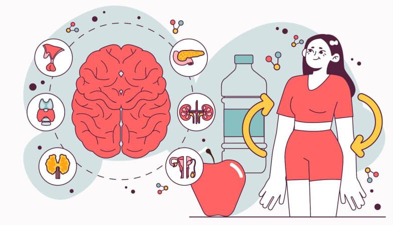 Endocrine function and metabolic disorders affecting menstrual cycles