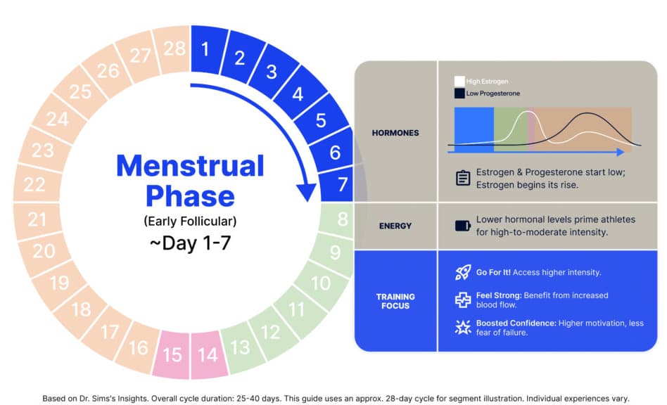 Menstrual cycle infographic showing normal cycle patterns